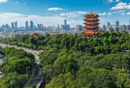 91麻豆麻豆-展开色彩斑斓的数字世界，91麻豆论坛文化探析