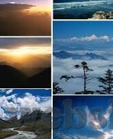 大象传媒软件下载网址-探索大象传媒软件，数字时代的文化桥梁