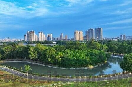 糖心app下载免费版-解锁甜蜜一刻，体验糖心免费版下载的魅力