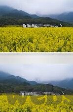 下载大象传媒app-下载大象传媒APP，解锁娱乐新视界